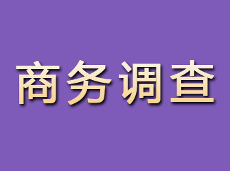 黄浦商务调查